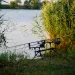 CARP ACADEMY, Elit Rod Pod