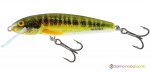 MINNOW M5F - HRM