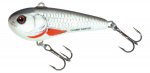 CHUBBY DARTER CD3 - D