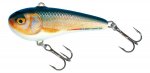 CHUBBY DARTER CD3 - RR