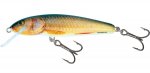 MINNOW M5F - RR