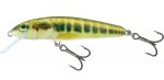 MINNOW M5S - M