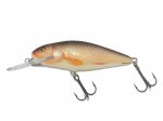 PERCH PH8DR - RR